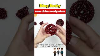 Bóng Bucky với nam châm neodymium #shorts