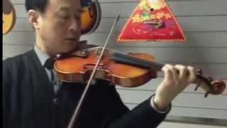 Aileen Music Violin Performance VH900Z