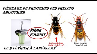 Lutte frelon asiatique 2023 - Lanvallay piegeage de printemps