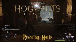 Rescuing Natty - Hogwarts Legacy Walkthrough Part 16 (PS5 - No Commentary)