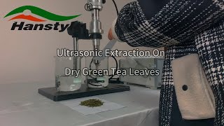 Ultrasonic Extraction Display On Dry Green Tea Through 20KHz Industry Ultrasonic Homogenizer