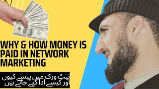 What is Network Marketing?How to Work in it? Why and How Money is paid in Network Marketing?||Pashto