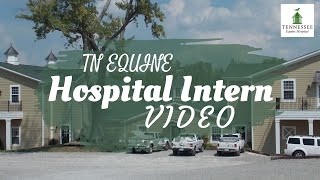 TN Equine Hospital Intern Video