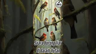 Suara burung liar di dalam hutan