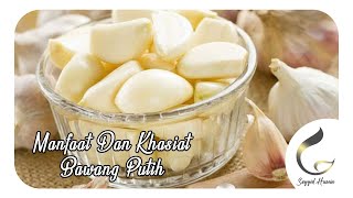 Manfaat Dan Khasiat Bawang Putih- Kesehatan Ala Nabi