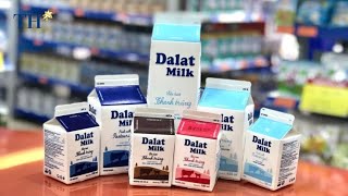 Dalatmilk mở rộng quy mô sản xuất, dự kiến sản lượng 300 tấn/ngày