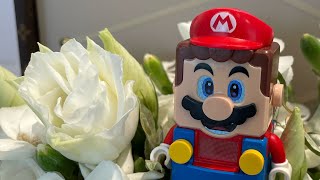 Interactive Lego Princess Peach And Friends Live Stream!