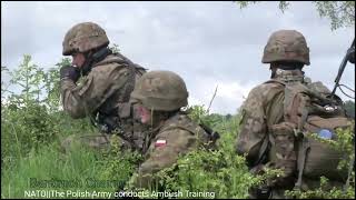 NATO||The Polish Army conducts Ambush Training