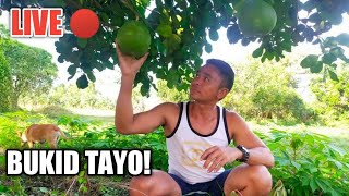 PALAYAN NG CALAUAN(Live Streaming)