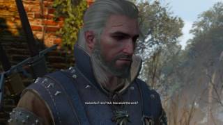 the witcher 3 the allgod