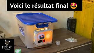 Faire une couveuse facile à la maison egg Incubator