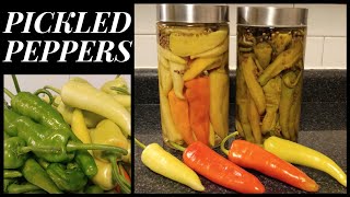 How To Pickled Peppers l Harvesting And Making Pepper Pickles l Quick Easy And Tasty!