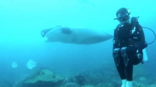 Arkhipelagos - The best view comes under the deepest surface | Scuba Diving in Raja Ampat, Papua