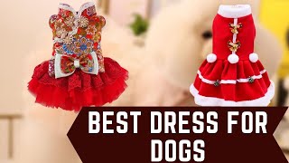 Best Dress for Dogs - Aliexpress Top 5 Dress for Pets Reviews