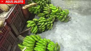 Pisang Ambon Eceran Harganya Segini Di Kios Buah Pinggir Jalan