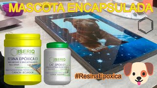 👉 APRENDE A ENCAPSULAR UNA IMAGEN CON RESINA EPOXICA  🐶🐶 ISERIQ