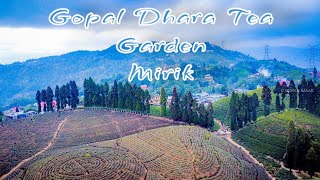 Gopal Dhara Tea Garden MIRIK #MIRIK #TEA #droneshots #dji #westbengal