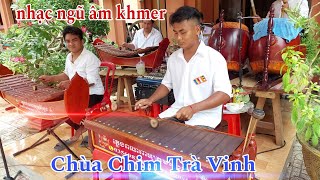 Nhạc ngũ âm khmer Trà Vinh cực hay tại Chùa Chim 2024