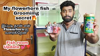 My flowerhorn fish grooming secret 🔥🤟| இப்படி தான் என் Flowerhorn-ஐ வளர்கிறேன் 💕|