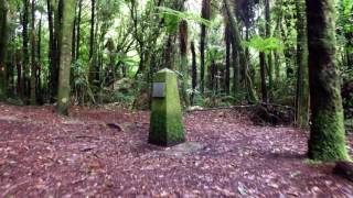 Centre of the North Island - New Zealand