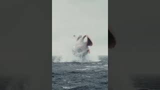 water monster Stunning Sighting of a Mysterious Sea Creature #surrealism #shorts