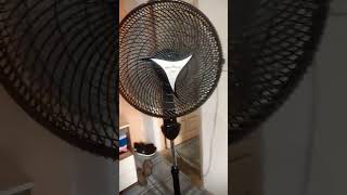 Ventilador de coluna BRlTANIA 40cm #shortvideo #fan