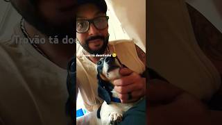 Trovão ficou doente e veio consultar o doutor de cachorro