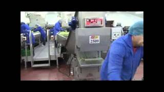 Brussel Sprout Grading, Weighing and Packing Line | Tong Engineering