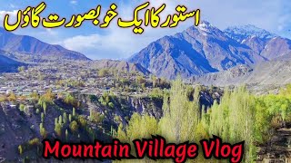 Mountain Village Vlog | Beautiful Village in Gilgit Baltistan | Gilgit Baltistan Villages