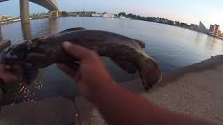 9-2-19 Bank fishing serpentine wall