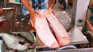 Amazing Fish Cutting Skills | Pangash Fish And Rui Fish Machine Cutting | Cutting Video | All In One