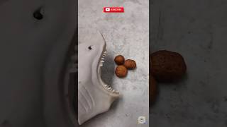 Shark puppet Eats Baby Potato #shorts