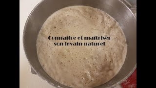 Comprendre et maîtriser son levain naturel