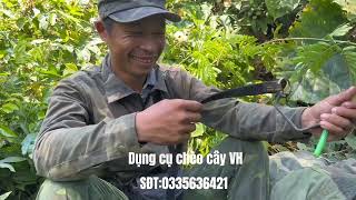 dụng cụ an toàn đi rừng trèo cây - dụng cụ trèo cây VH