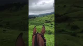 Segredos Encantos e Felicidade Plena Vivendo Aqui na Roça