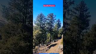 Beautiful Himachal #shorts #short #youtubeshorts #shortvideo #subscribe #viralshort #instagram #reel