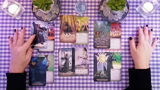 ♓️ Vissen • Week Reading • Tijdloos • De Ontwaking • Tarot Reading 2024