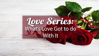 Love Series: What's Love Got to do With It