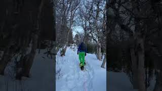 Hiking with my dogs (winter in Norway) #travel #norway #visitnorway #hiking #mountain #dogs