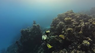 2 girls diving in the Red Sea