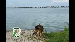 Losloopgebied 't bovenwater hollandse hout