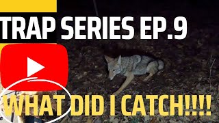 coyote trapping & A SURPRISE CATCH ON THE TRAPLINE !!!!!