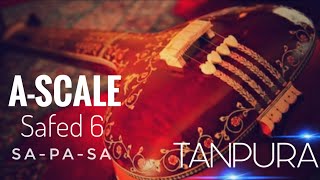 #Riyaz With Tanpura (Male)  A Scale | Safed -6 | GR Music EP. 22