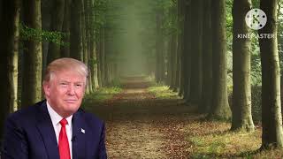 Donald & Sleepy Joe Gets Lost In A Forest (A.I)