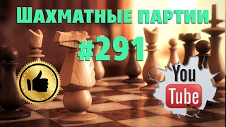 Шахматы видео. Шахматы с живыми игроками на lichess №291 «Блиц шахматы»