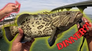 CATCHING Dinner UNDER Florida BRIDGE | Catch & Cook | Fishing Fort De Soto Pt.2