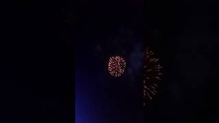 FIREWORKS DISPLAY #viralvideo #shortvideo