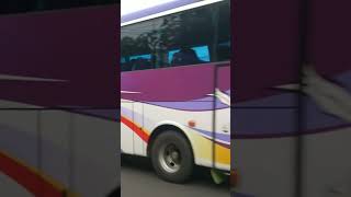 Bis RAMAYANA | Jogja - Jakarta #bismaniacommunity #videoshort