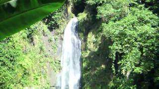 Dominica (Part II) - Visit to the rain forest and Trafalgar Falls