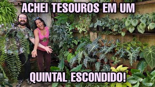 DESCOBRI um QUINTAL ESCONDIDO com PLANTAS PRECIOSAS - Jardim